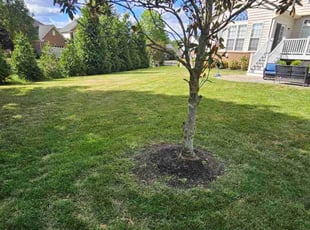 Tom L.'s Lawn Care service result
