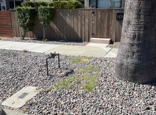 Weeding by Nicholas Poulsen for Michael F. in San Diego, CA