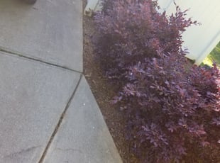Cleanups by Gerardo Juarez for Todd K. in Huntersville, NC