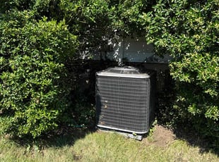 Bush Trimming by John Wayne for Elizabeth R. in Bellmore, NY