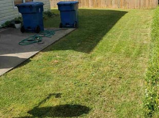 Joaquin R.'s Lawn Care service result