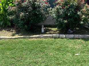 Weeding by Jackie Sanchez for Michael O. in Garland, TX