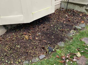 Weeding by James Mitchell for Melissa P. in Catonsville, MD