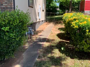 Wes w.'s Leaf Removal service result