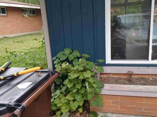 Bush Trimming by Mitchell Johnson for Elijah V. in Cincinnati, OH