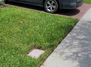Chris C.'s Lawn Care service result