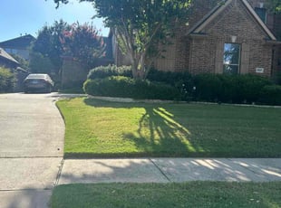 Renda M.'s Lawn Mowing Service service result