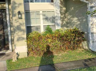 Weeding by James Brown for Isis B. in Palm Bay, FL