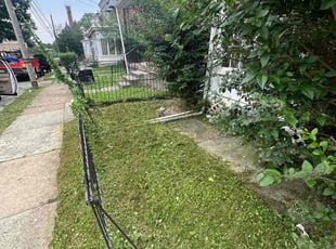 Kearia T.'s Lawn Mowing service result