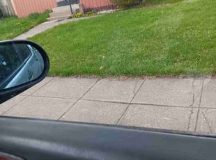 Bush Trimming by Randy Glidewell for Marilyn R. in Spokane, WA