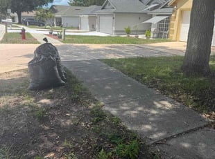 Leaf Removal by Jairo Ibero for Miranda T. in Clermont, FL
