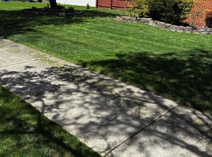 Daryl S.'s Lawn Mowing service result