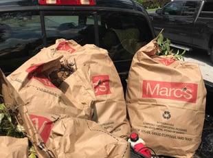 Leaf Removal by Scott Basinger for Brian W. in Lakewood, OH