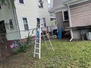 Bush Trimming by Steve Valverde for Willie W. in Providence, RI
