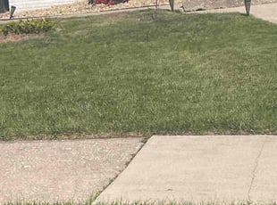 Anoh K.'s Lawn Mowing Service service result