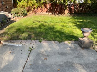 Leaf Removal by Kristin Weymers for SONJA W. in Eastpointe, MI
