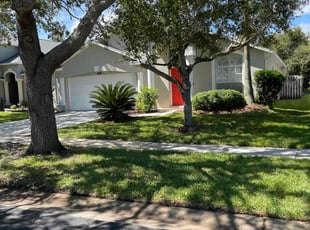 Cleanups by Caleb Eakle for Jenny M. in Wesley Chapel, FL