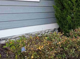 Bush Trimming by Darrell Pratt for Alex S. in Wendell, NC