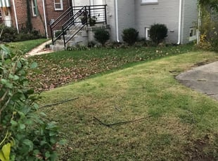 Cleanups by Kamonta Hackey for Sarah M. in Washington, DC