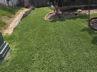 Tommy DUPLICATE R.'s Lawn Mowing service result