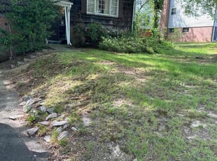 Leaf Removal by Jose M Rodriguez for Sarah L. in Alexandria, VA