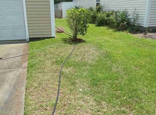 Bush Trimming by Wes Carroll for Derek C. in Summerville, SC