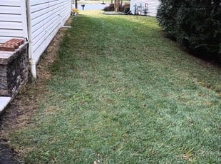 Leaf Removal by Wilmer Sosa for Kelvin D. in Odenton, MD