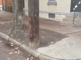 Cleanups by David Walton for Mary R. in Columbus, OH