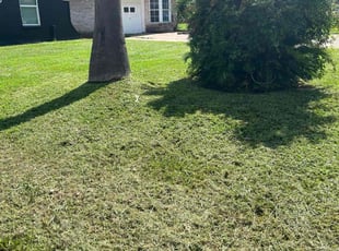 Joel S.'s Grass Cutting service result