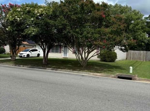 Benjamin H.'s Lawn Maintenance service result
