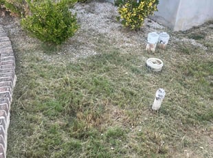 Weeding by Fredrick Miller for karlton m. in Schertz, TX