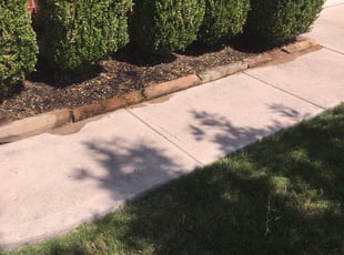 Weeding by Jasen Scheler for Sabrina O. in Hutto, TX