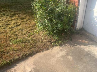 Bush Trimming by Brandon Cummings for Tonya D. in Ellenwood, GA