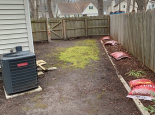 Leaf Removal by Taylor Dodson for Bryan C. in Chesapeake, VA