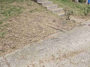 Cleanups by Cameron Lewis for Marcie M. in Overland Park, KS