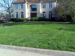Nora R.'s Lawn Service service result