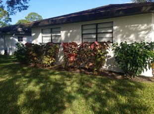 Bush Trimming by Jose Taveras for Scott K. in Palm Bay, FL