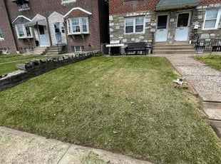 Angela L.'s Lawn Care service result