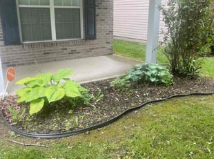 Bush Trimming by Tywuan Williams for Sarah A. in Indianapolis, IN