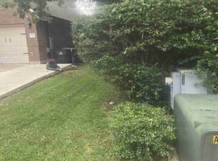 Bush Trimming by Victor Cortes for Bill M. in Georgetown, TX