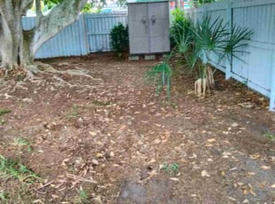 Leaf Removal by Stephen Peffly for Sarah T. in St. Petersburg, FL