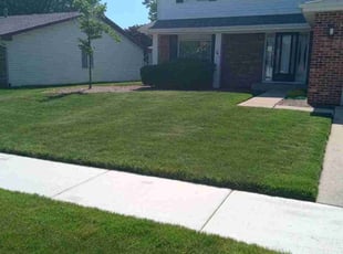 Brandon W.'s Lawn Care service result