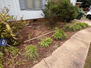 Leaf Removal by Nick Halferty for DeAndre G. in Raleigh, NC