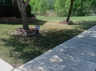 Cleanups by Benjamin Garza for Roland S. in Schertz, TX