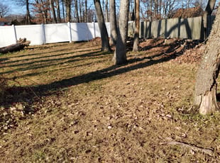 Leaf Removal by Fidel Rodriguez for Ola F. in Oxon Hill, MD