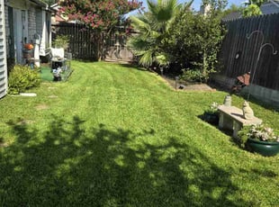 Antis G.'s Lawn Service service result
