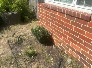 Bush Trimming by Richard Carpenter for Carl G. in Augusta, GA
