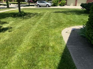 Steve V.'s Grass Cutting service result
