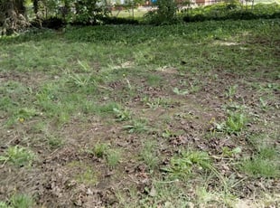 Cleanups by Angel Arredondo for Tara A. in SeaTac, WA
