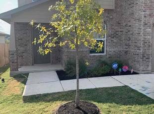 Mulching by Andrew Garza for Mary G. in San Antonio, TX
